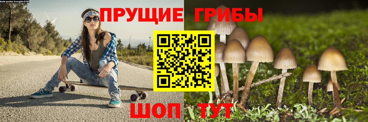 Белореченск  Галлюциногенные грибы MAGIC MUSHROOMS  Вход с VPN 