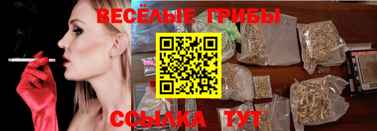 Псилоцибиновые грибы Psilocybine cubensis Белореченск